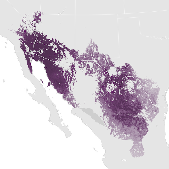 Abundance Map