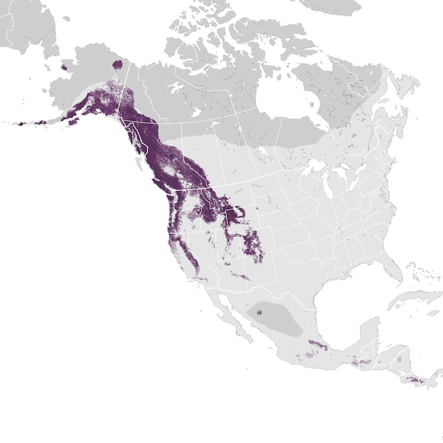 Abundance Map