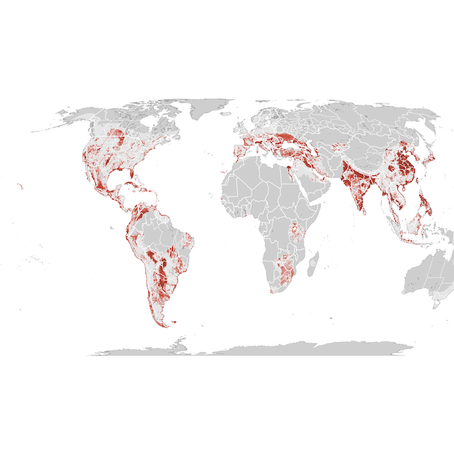 Abundance Map