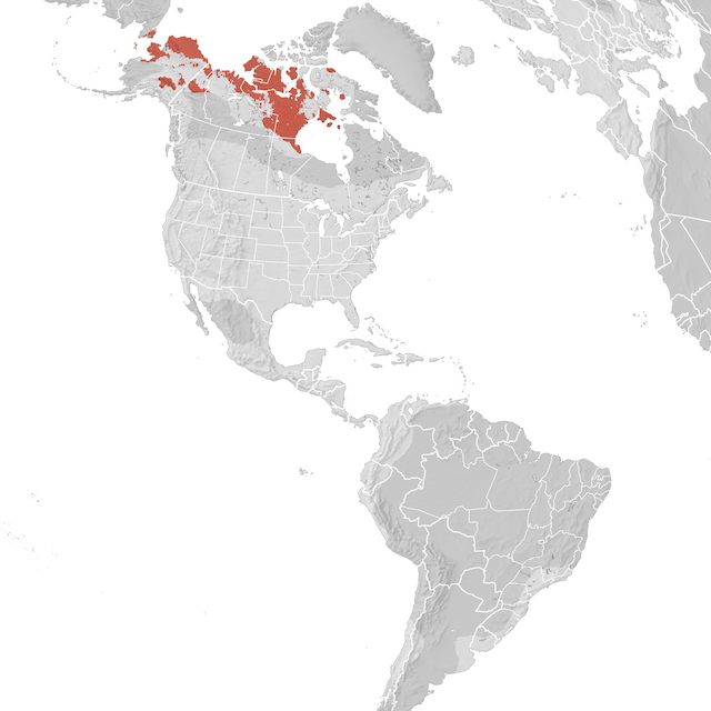 Range Map