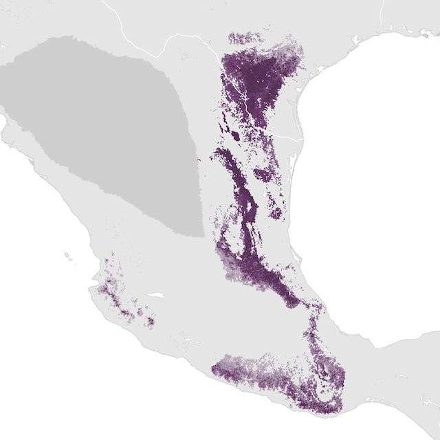 Abundance Map