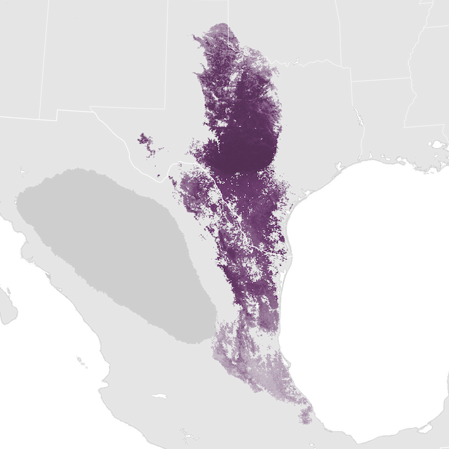 Abundance Map