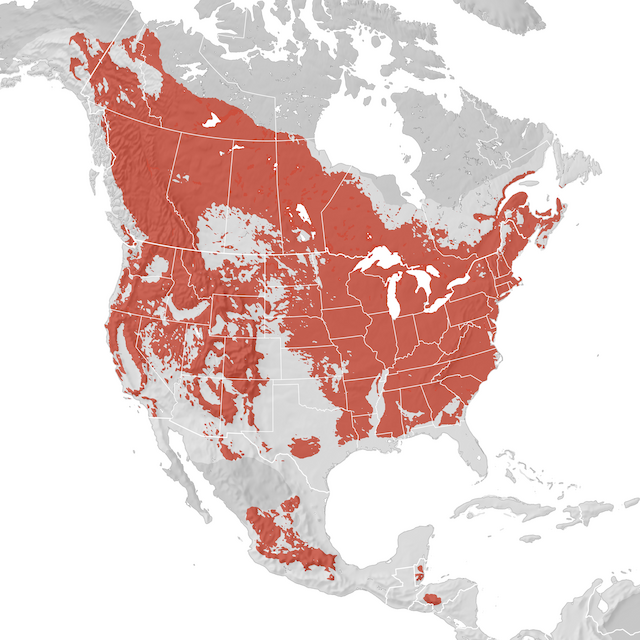 Range Map