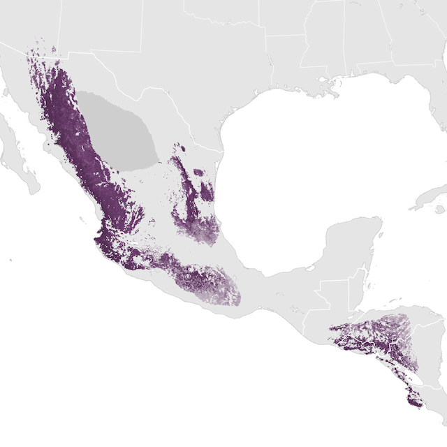 Abundance Map