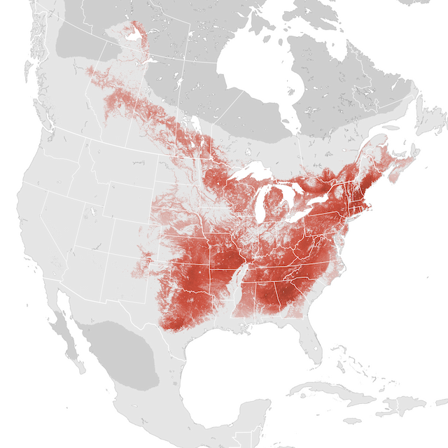 Abundance Map