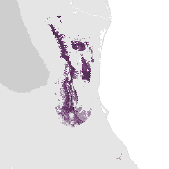Abundance Map
