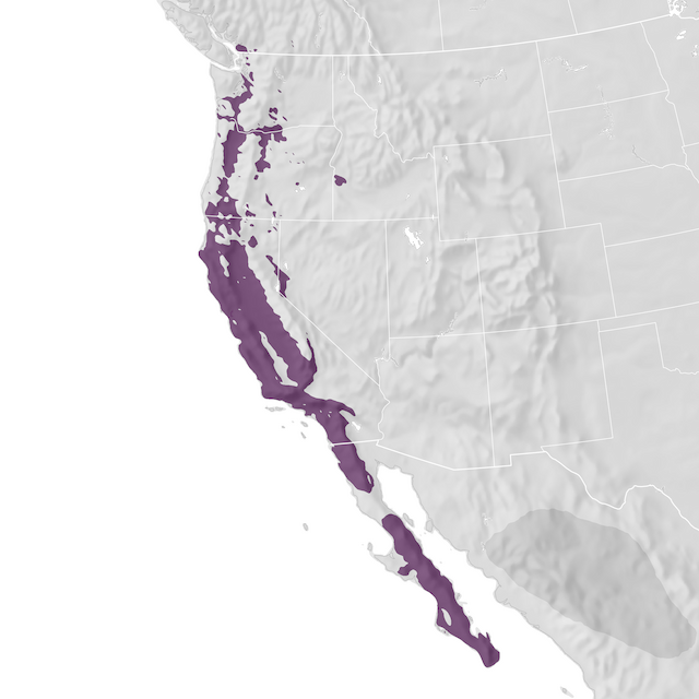 Range Map