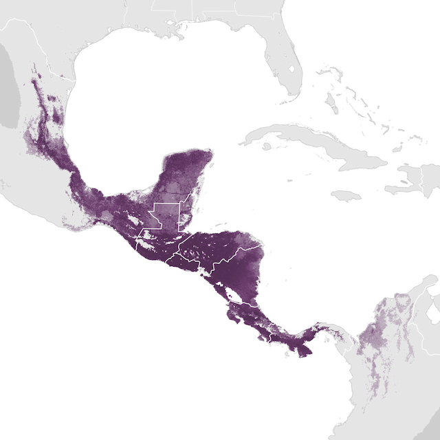 Abundance Map