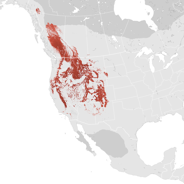 Abundance Map