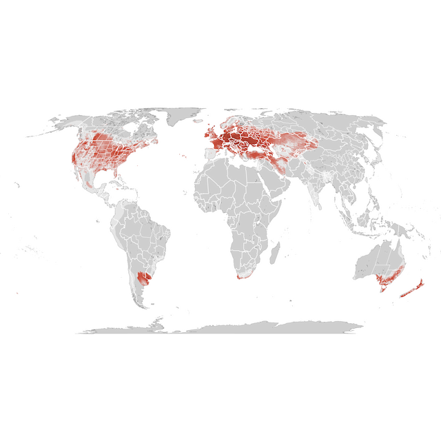 Abundance Map