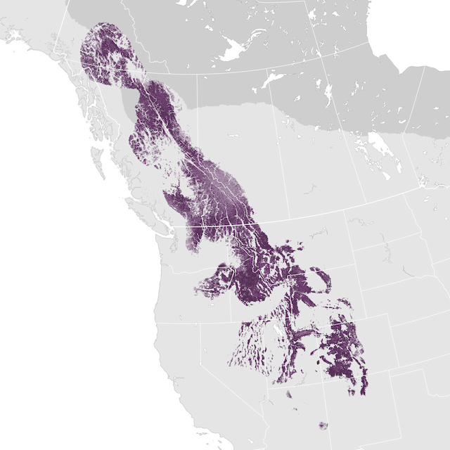 Abundance Map
