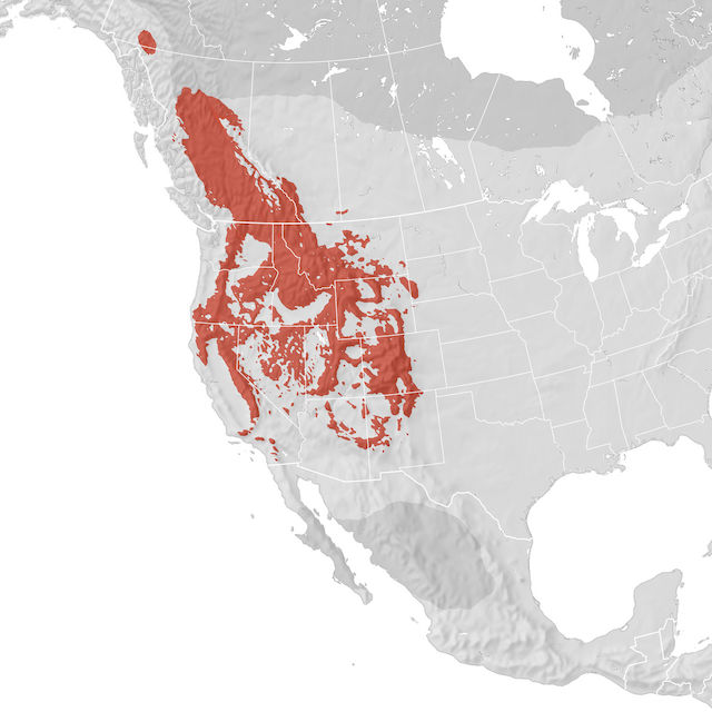 Range Map