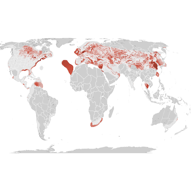 Abundance Map