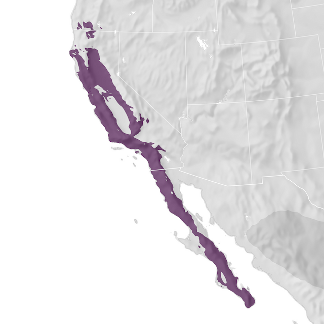 Range Map
