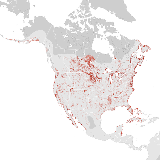 Abundance Map