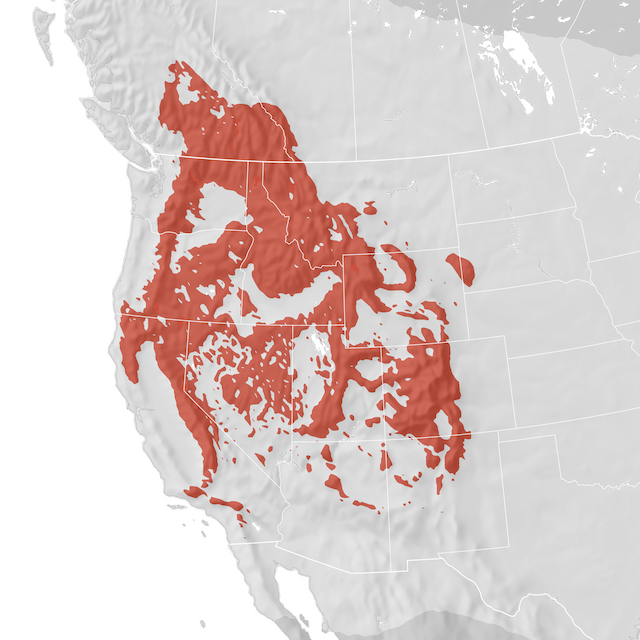 Range Map