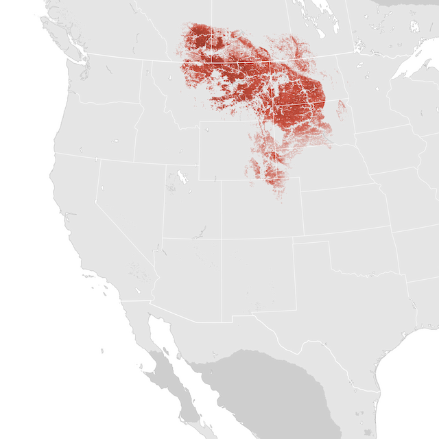 Abundance Map