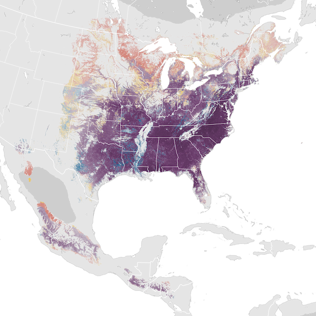 Abundance Map