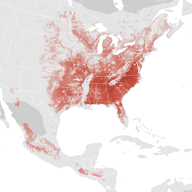Abundance Map