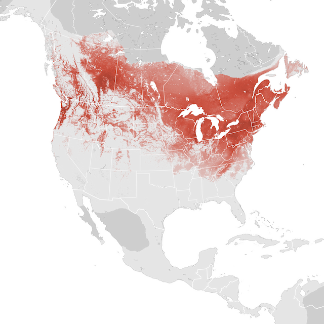 Abundance Map
