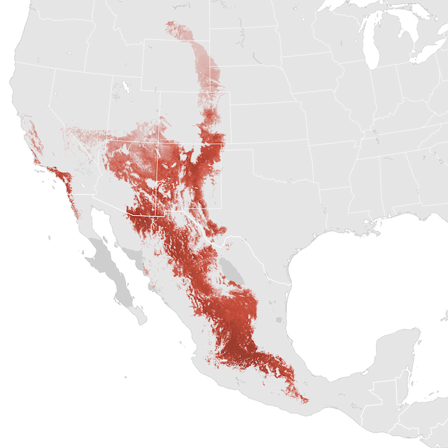 Abundance Map