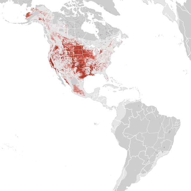 Abundance Map