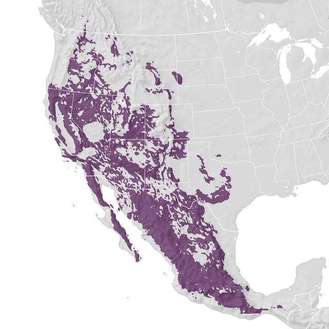 Range Map