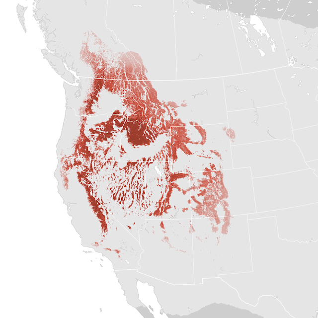 Abundance Map