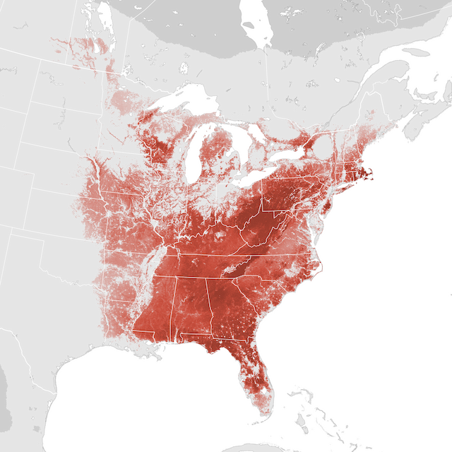 Abundance Map