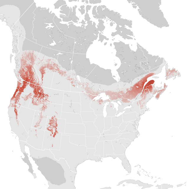 Abundance Map