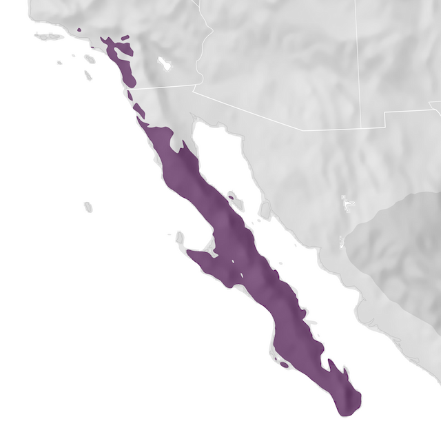 Range Map