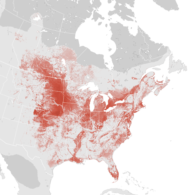 Abundance Map