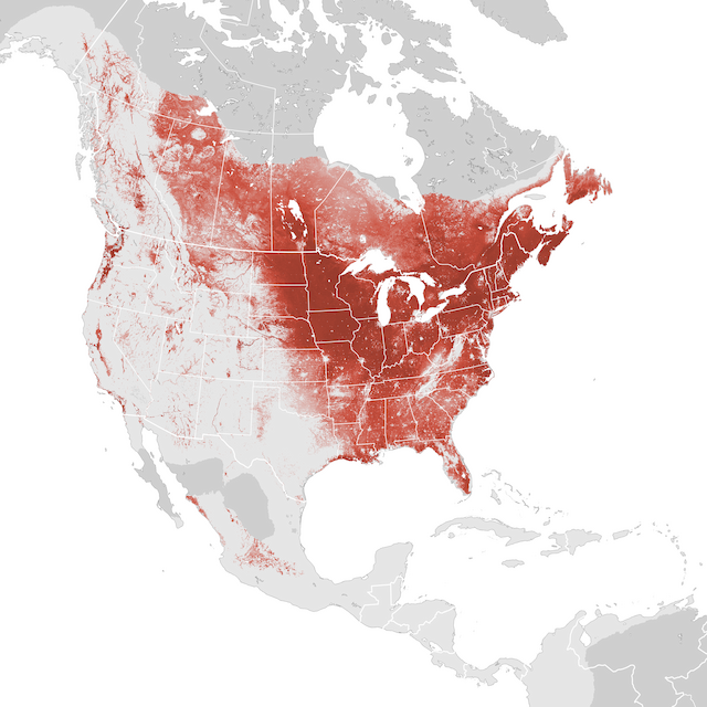 Abundance Map