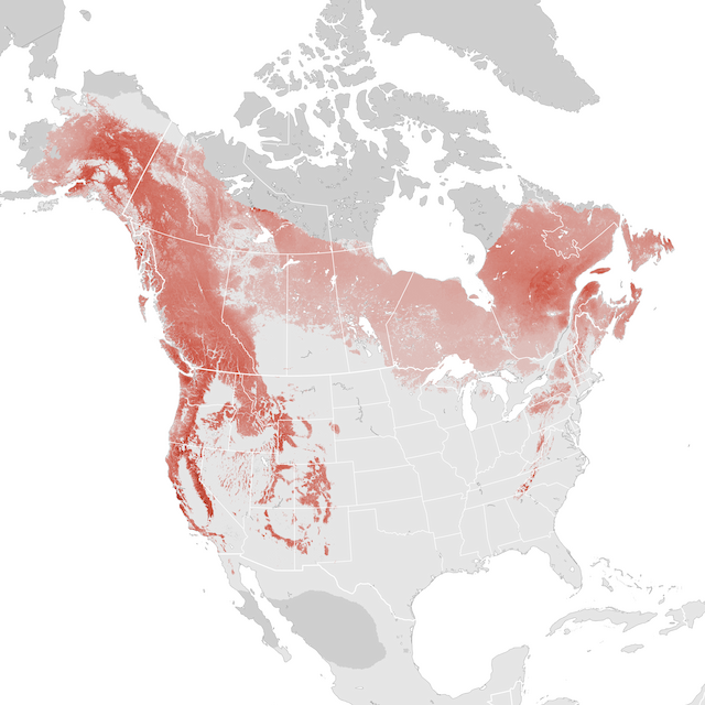Abundance Map