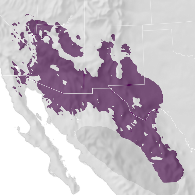 Range Map