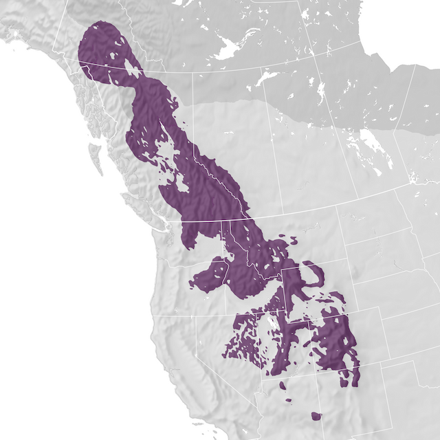 Range Map
