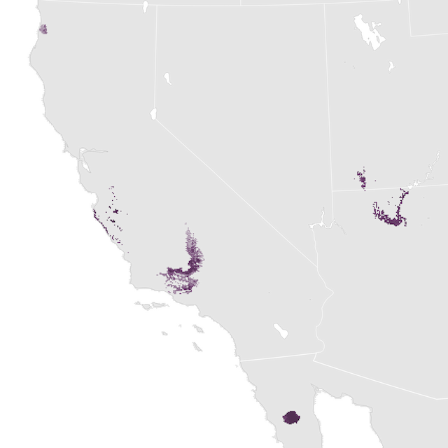 Abundance Map