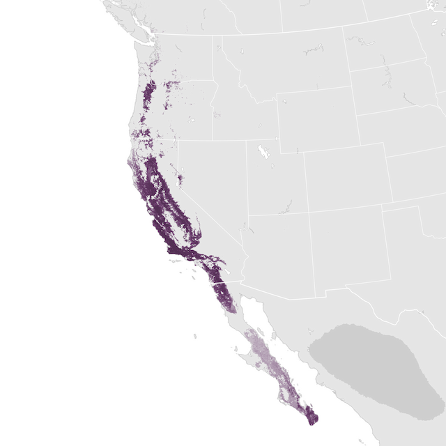 Abundance Map