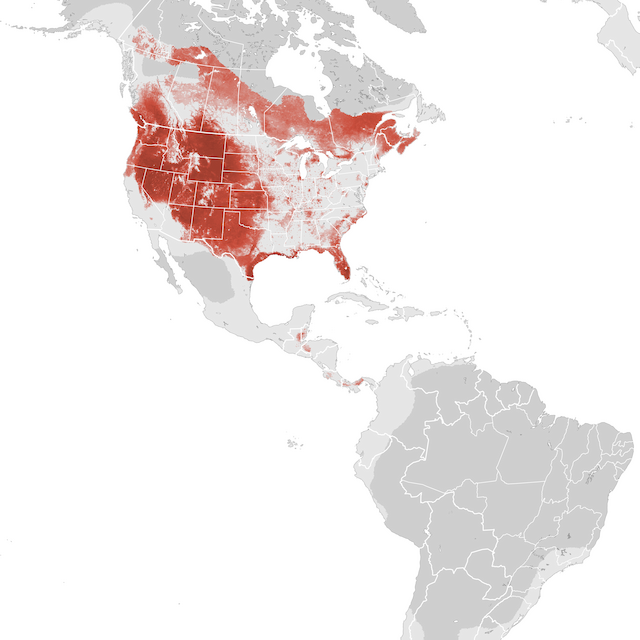 Abundance Map