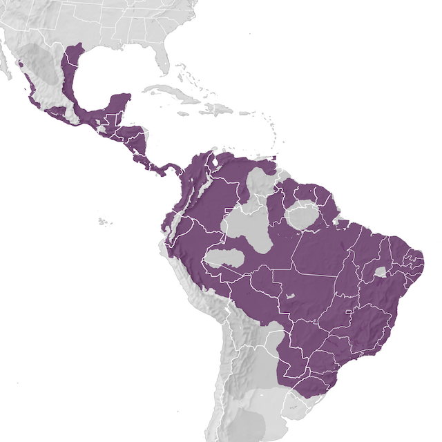 Range Map