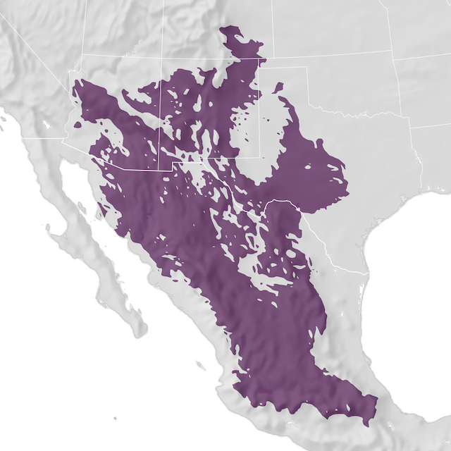 Range Map