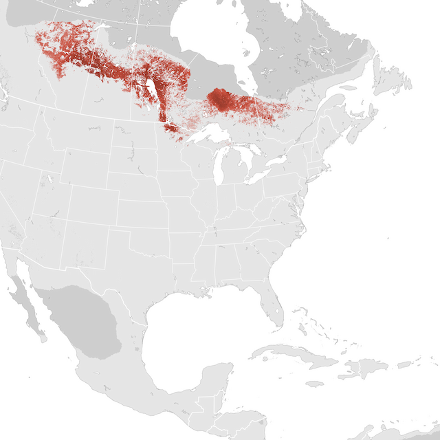 Abundance Map