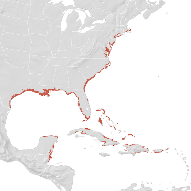 Range Map