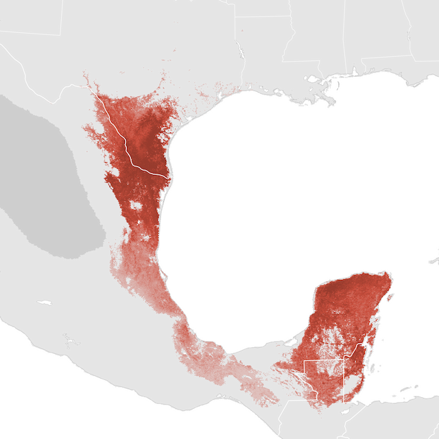 Abundance Map