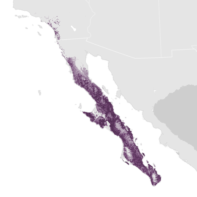 Abundance Map