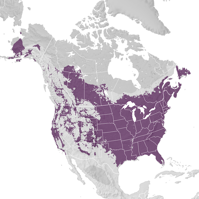 Range Map