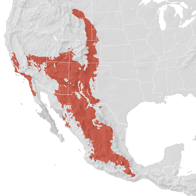 Range Map