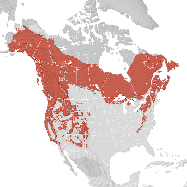 Range Map