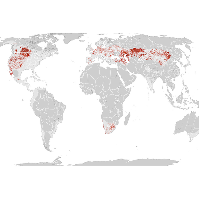 Abundance Map