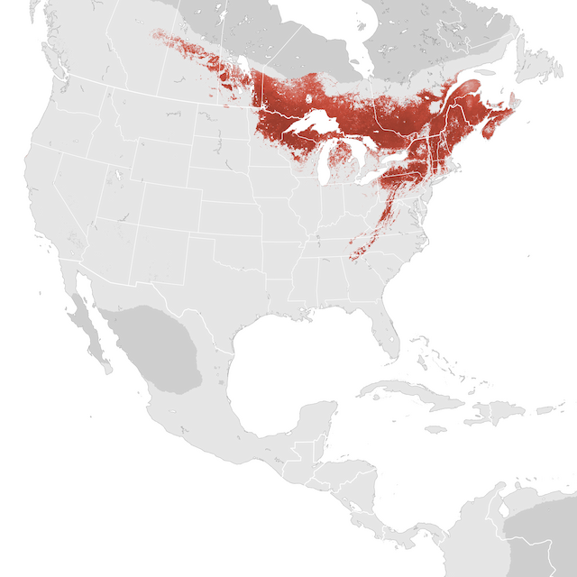 Abundance Map